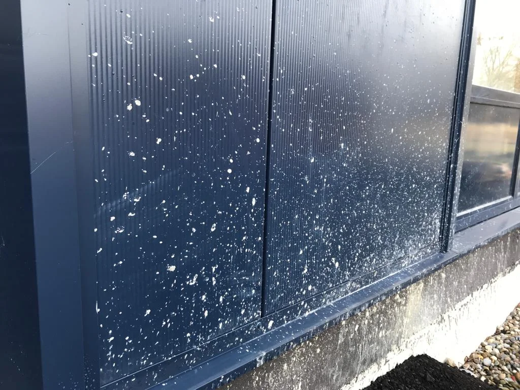 Speciaal reiniging van Heemskerk (8)-591accd4